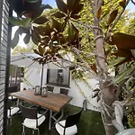 The Cozy Villa